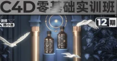 腾小渔C4D零基础实训班第12期+第11期
