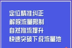 同城账号付费投放运营优化提升,定位精准纠正,解除流量限制,自然推流提升,极速突破下级流量池
