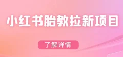 小红书胎教网盘拉新项目,可在私域变现两次(作品制作教程+素材)