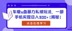 车载u盘暴力私域玩法,一部手机实现日入300+【揭秘】