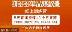 钟辰·拼多多单品爆款班,一个拼多多超级爆款养一个团队