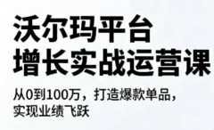 沃尔玛平台增长的实战运营课