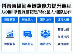 抖音直播间浓缩版课,从0到1掌握直播间流量获取、转化留人、团队协作的全链路能力