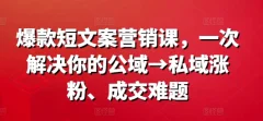 爆款营销文案课,一次解决你的公域→私域涨粉、成交难题