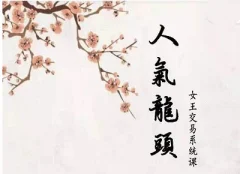 短线女王人气女王人气龙头基础视频课程