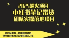 2025超火项目,小红书笔记带货团队实操落地项目,轻松日入5张