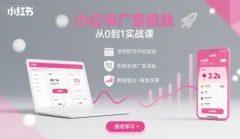 小红书广告投放从0到1的实战课,学完即可开始投放,拒绝无效广告消耗
