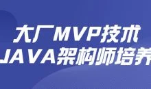 大厂MVP技术JAVA架构师培养