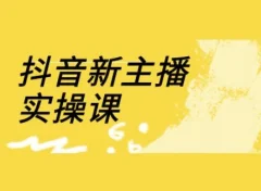 抖音新主播实操课,直播间流量运营线上实操课(18节)