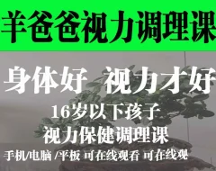 羊爸爸16岁以下孩子的视力保健调理课
