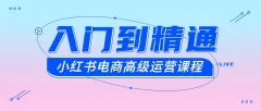 小红书电商高级运营课程(从入门到精通)