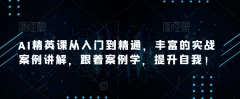 AI精英课从入门到精通,丰富的实战案例讲解,跟着案例学,提升自我