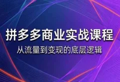 缥缈·2026拼多多课程(更新6月)
