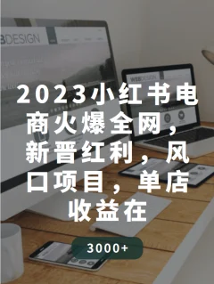 2023小红书电商火爆全网,新晋红利,风口项目,单店收益在3000-30000