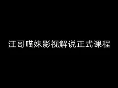 汪哥影视解说正式课程:剪映/PR教学/视解说剪辑5大黄金法则/全流程剪辑7把利器等等