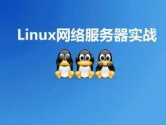 Linux网络服务器实战视频课价值399元