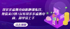 拼多多虚拟电商陪跑训练营,教你从0到1玩转拼多多虚拟电商,简单易上手(更新)
