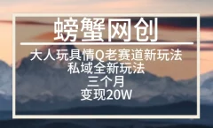 大人玩具情Q用品赛道私域全新玩法,三个月变现20W,老项目新思路