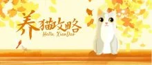 猫咪训练养猫攻略小技巧50秘诀