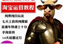 猫老师·淘系算法逆向解密,纯黑纯白玩法,七天上首页纯搜索,手淘首页14天流量过万
