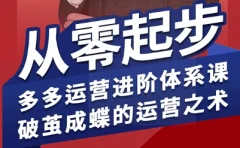 海神·拼多多运营进阶系统课(更新2026)
