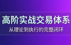 高老师·高阶实战交易体系(更新6月)