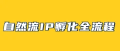 自然流IP孵化,系统掌握IP孵化全流程