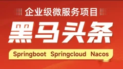 Java企业级微服务项目《黑马头条》