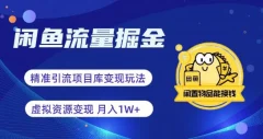 闲鱼流量掘金-虚拟变现新玩法配合全网项目库,精准引流变现3W+