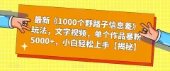 最新《1000个野路子信息差》玩法,文字视频,单个作品暴粉5000+,小白轻松上手【揭秘】