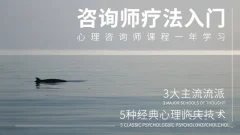 壹心理:心理咨询技术与疗法入门_心理咨询师疗法入门课程