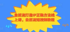 自然流打造IP正确方法线上课自然流短视频