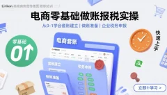 电商零基础做账报税实操快速上手,从0-1学会套账建立,做账准备,企业税务申报
