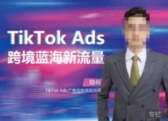 稳哥·如何投出高ROI的TikTok广告,开拓独立站卖家流量新蓝海