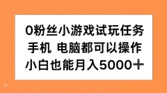 10粉丝小游戏试玩任务,手机电脑都可以操作,小白也能月入5000+