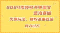2024视频号书单图文蓝海赛道,火爆玩法,赚取多重收益