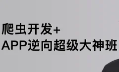 陆飞-爬虫开发APP逆向超级大神班1-8班-价值4999-2023年-课件完整