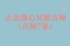 刘丰从四个方面分析高维智慧(视频4集)