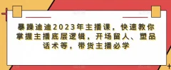 暴躁迪迪2023年主播课,快速教你掌握主播底层逻辑,开场留人、塑品话术等,带货主播必学