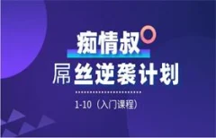 痴情叔《屌丝逆袭计划1-10期(入门课程)