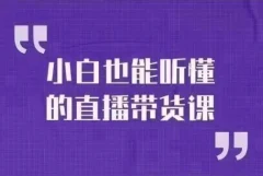 大威本威·小白也能听懂的直播带货课,玩转直播带货,轻松出单