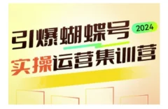 引爆蝴蝶号实操运营,助力你深度掌握蝴蝶号运营,实现高效实操,开启流量变现之路