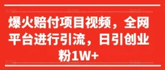 爆火赔付项目视频,全网平台进行引流,日引创业粉1W+【揭秘】