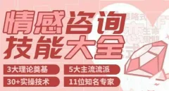 婚姻情感、家庭咨询技能大全