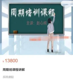 赵心纯《走进殿堂:周期班课程讲解》原价13800元
