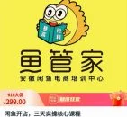 闲鱼开店三天实操核心课程观看实操
