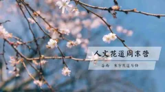 谷雨老师《人文花道美学营》插花教程