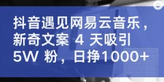 抖音遇见网易云音乐,新奇文案 4 天吸引 5W 粉日挣1000+