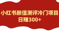 外面1980的项目,小红书颜值测评冷门项目,日赚300+【揭秘】