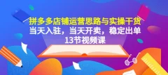 拼多多店铺运营思路与实操干货,当天入驻,当天开卖,稳定出单(13节课)
